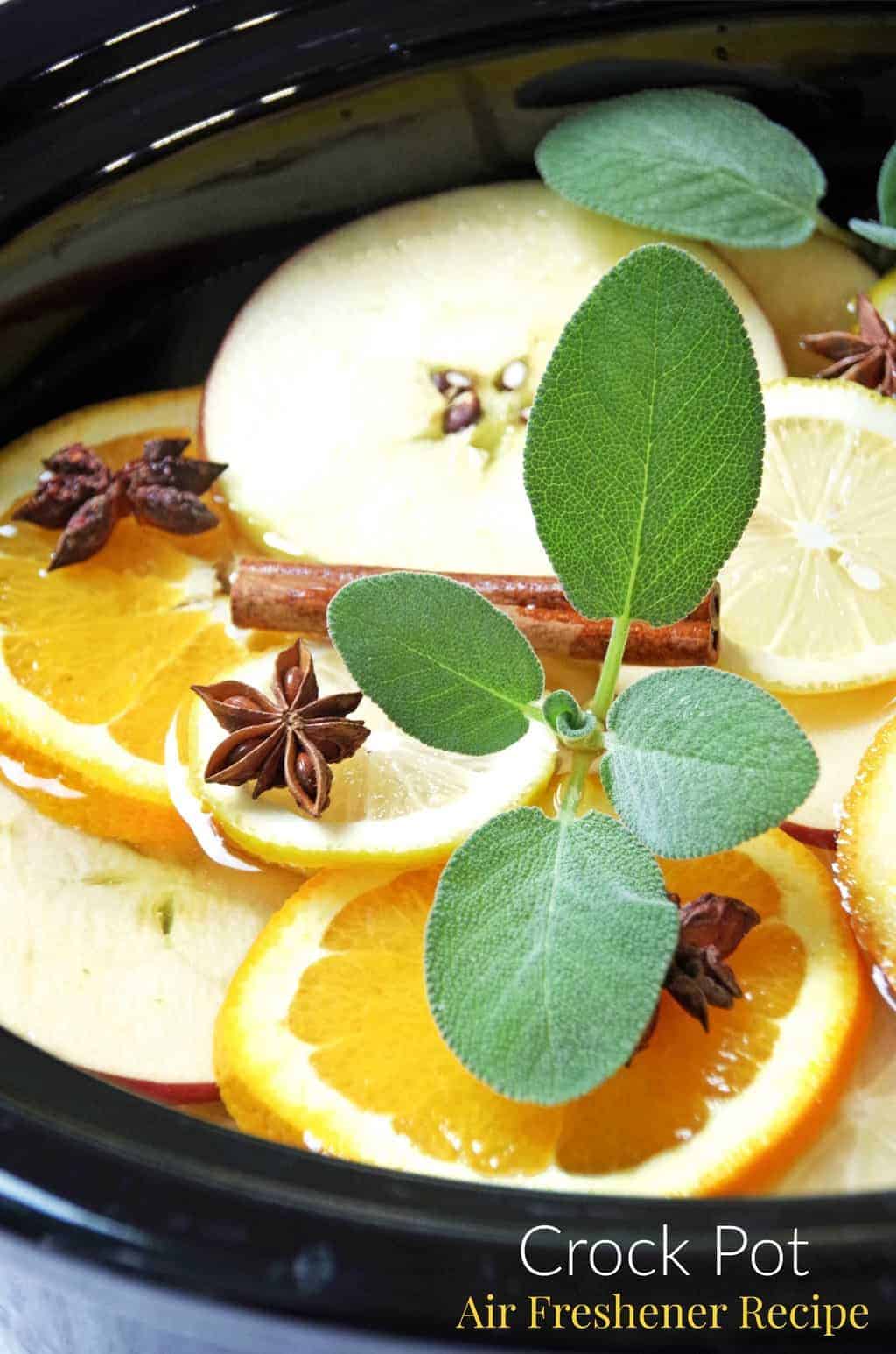 Crock Pot Air Freshener Recipe Turning the Clock Back