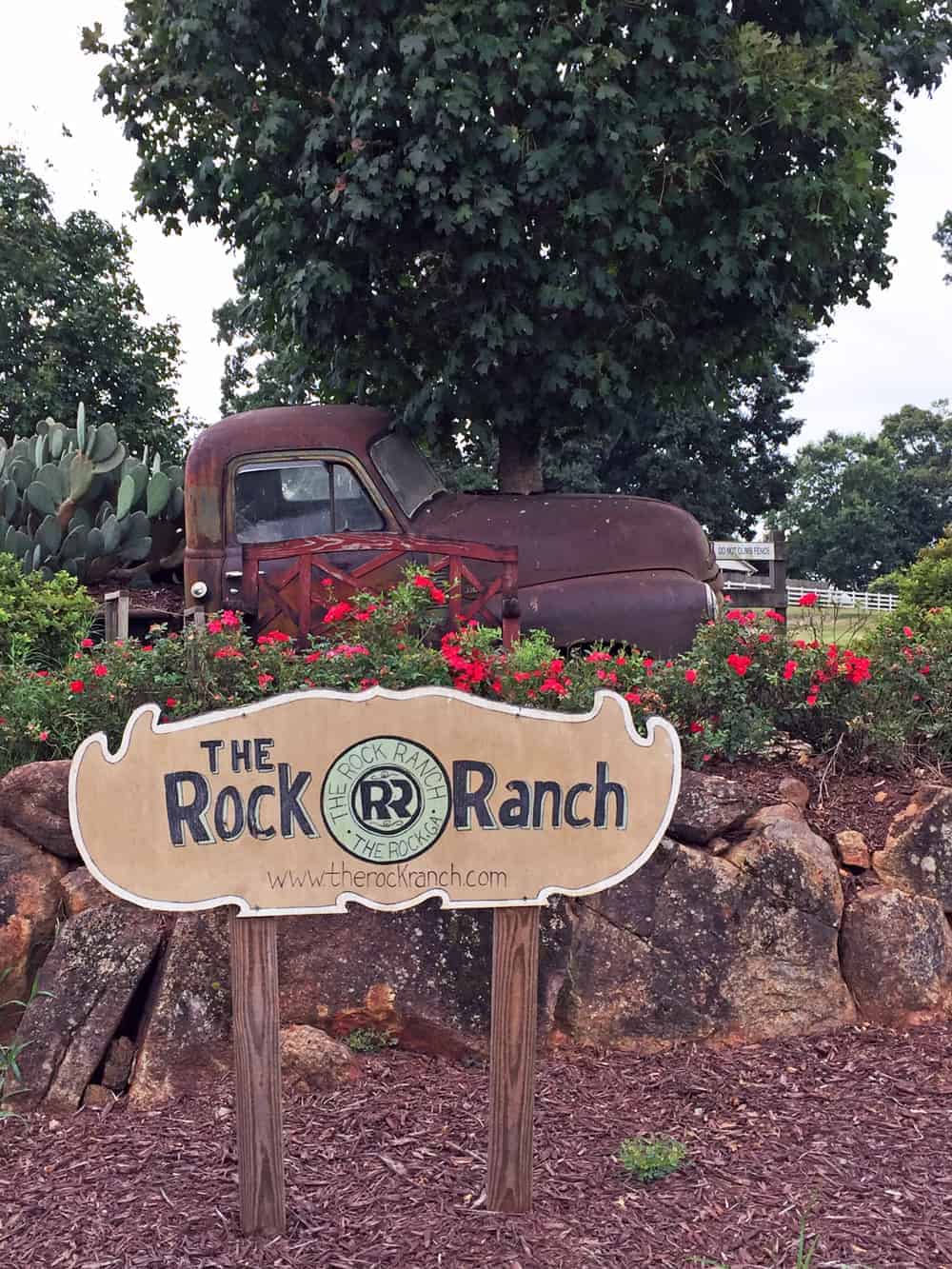 How to Support Local Farmers and My Georgia Agritourism Experience