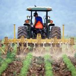 How to Support Local Farmers and My Georgia Agritourism Experience