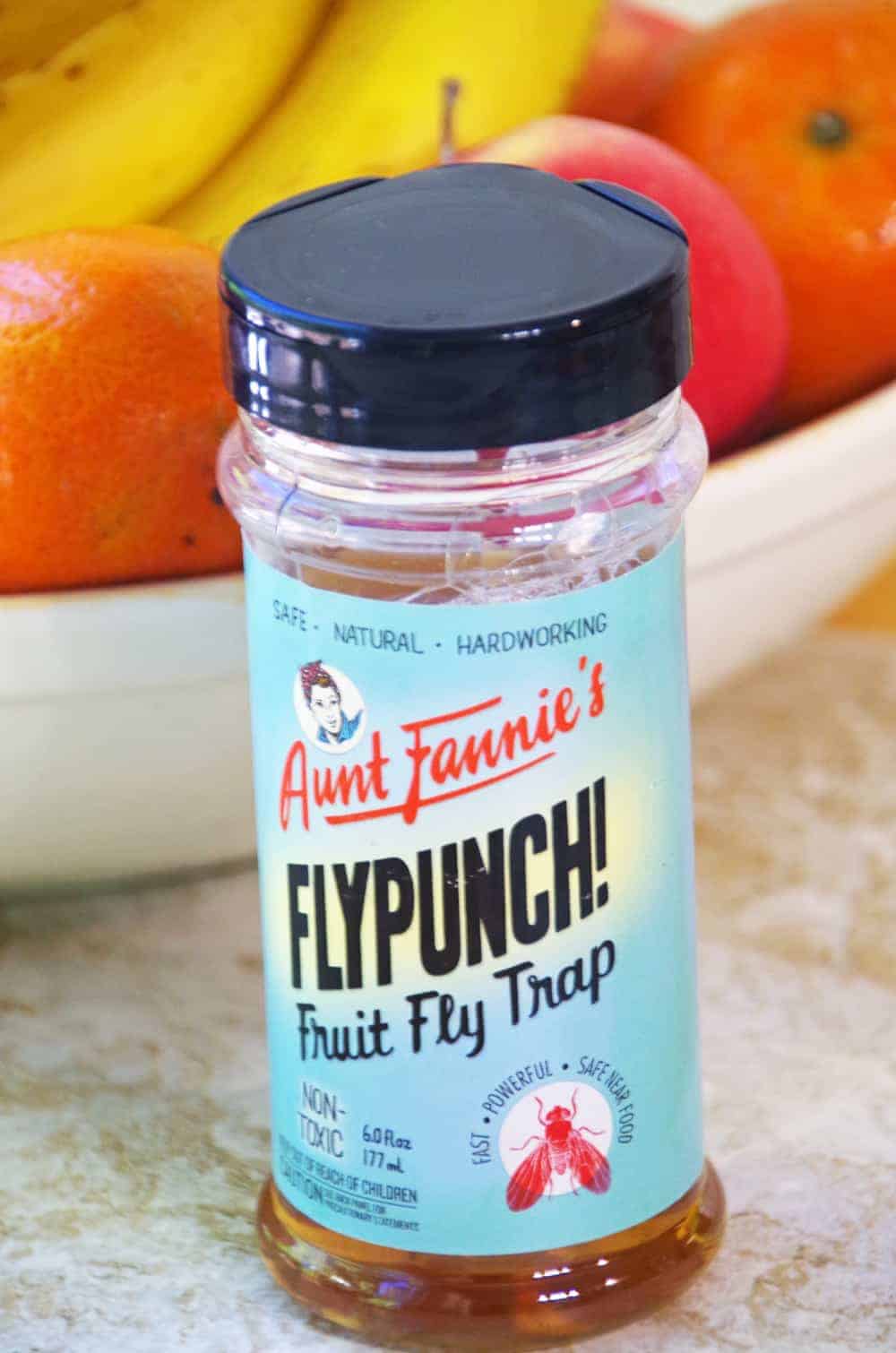 DIY Kitchen Sponge Dish and Healthier Housekeeping with Aunt Fannie's