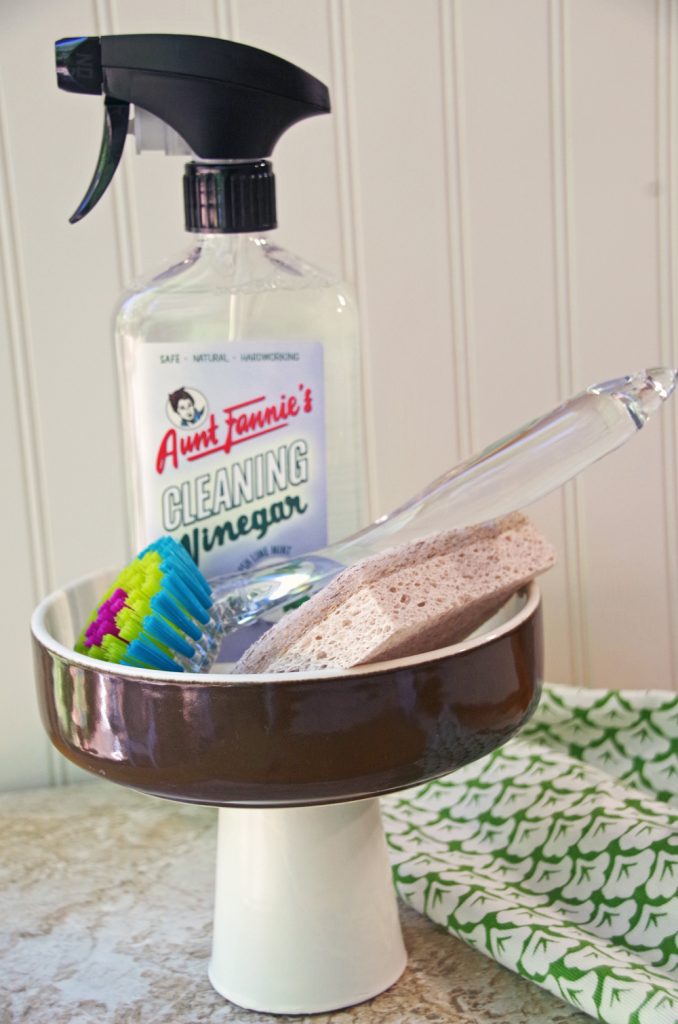 DIY Kitchen Sponge Dish and Healthier Housekeeping with Aunt Fannie's #HomeSweetBiome #HealthierHousekeeping and #PlantBased #NaturalCleaning