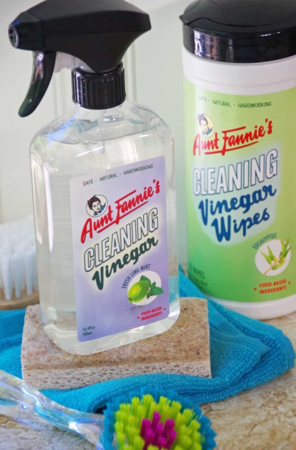 DIY Kitchen Sponge Dish and Healthier Housekeeping with Aunt Fannie's