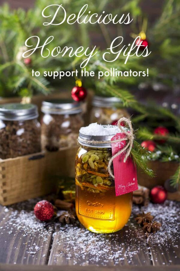 Honey Gift Ideas to Help Support the Pollinators Turing the Clock Back