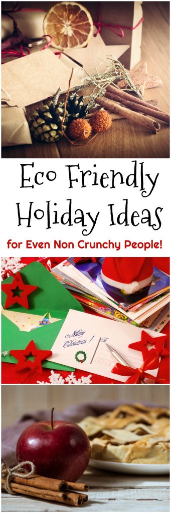 Eco Friendly Holiday Ideas for Even Non Crunchy People!