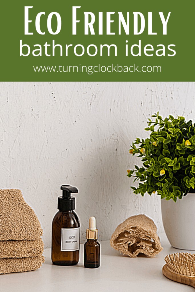 earth friendly bathroom products and plant with text overlay 'Eco Friendly bathroom ideas'