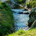 Ways to Keep Water Clean and Protect our Environment
