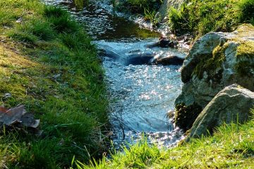 Ways to Keep Water Clean and Protect our Environment