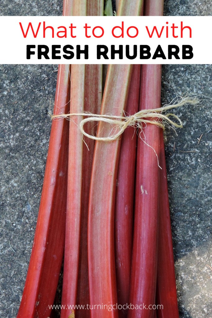 fresh rhubarb tied with string and text What to do with Fresh Rhubarb