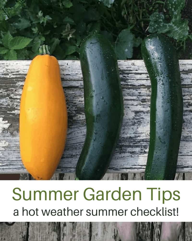 zucchini and squash sitting on fence post