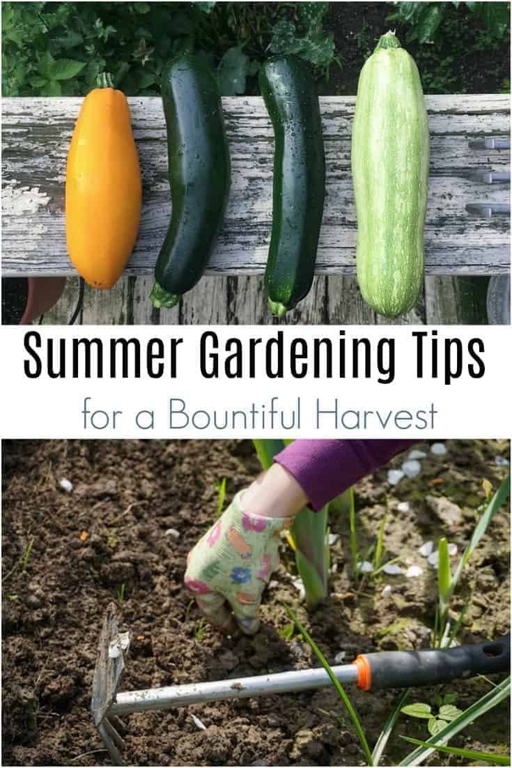 Want a bountiful harvest from your summer garden? Read this summer garden checklist! These easy summer gardening tips will help you grow more summer produce!