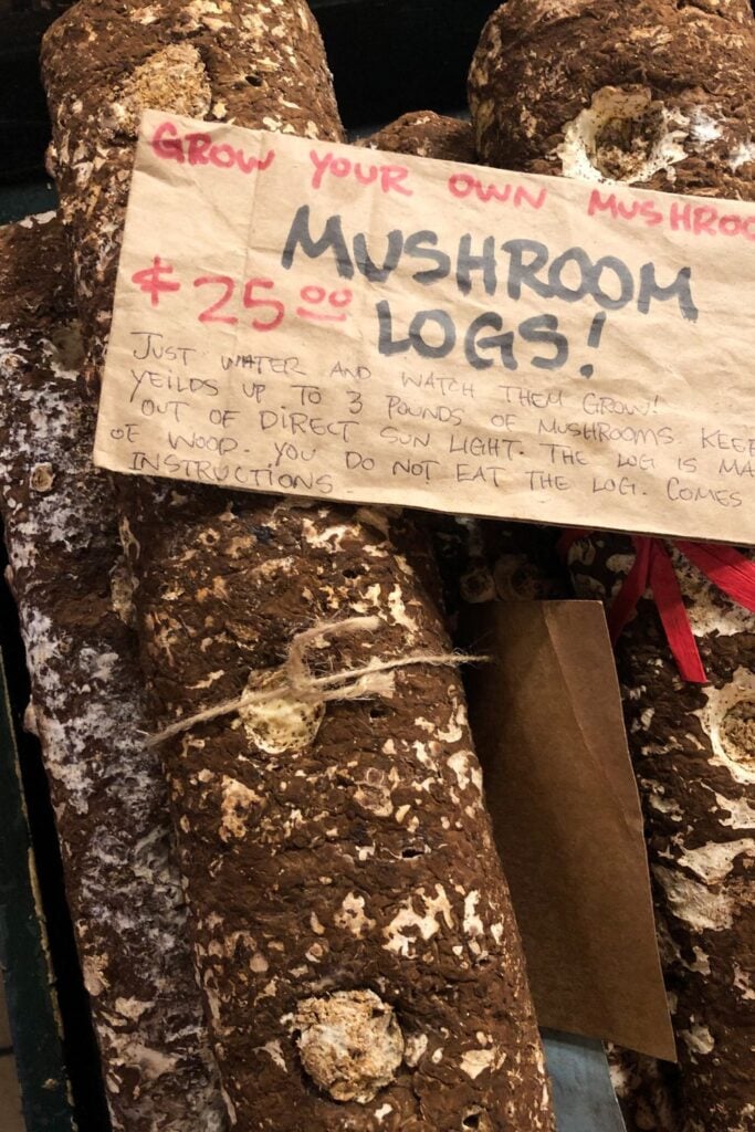 grow your own mushroom logs