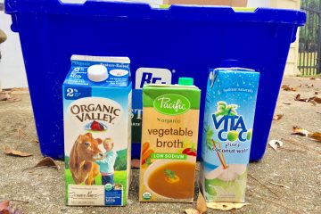 Celebrate America Recycles Day with These Green Activities!