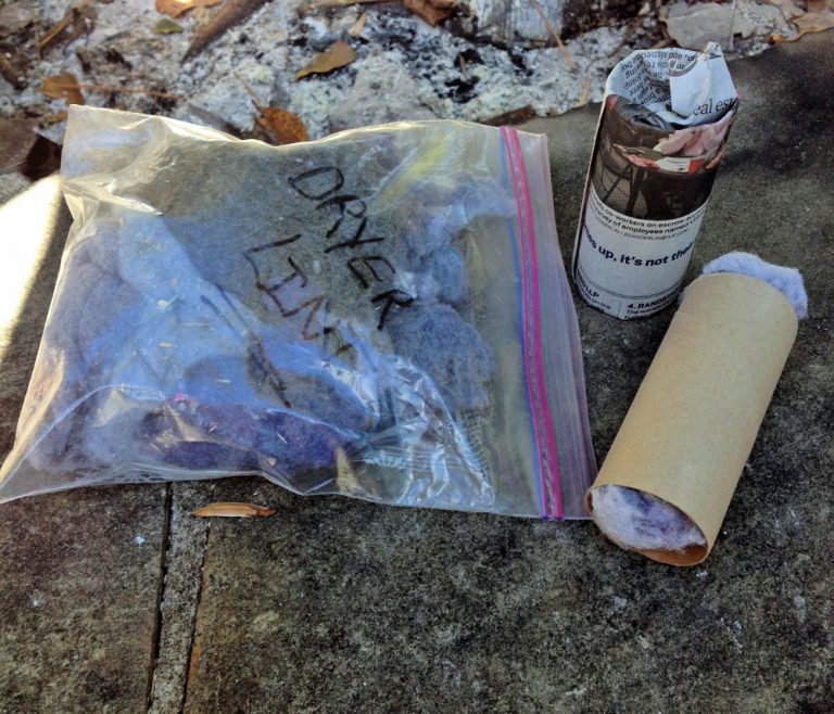 Toilet Paper Roll Fire Starters Turning the Clock Back