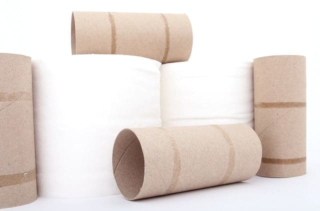 toilet paper rolls and toilet paper on a white background