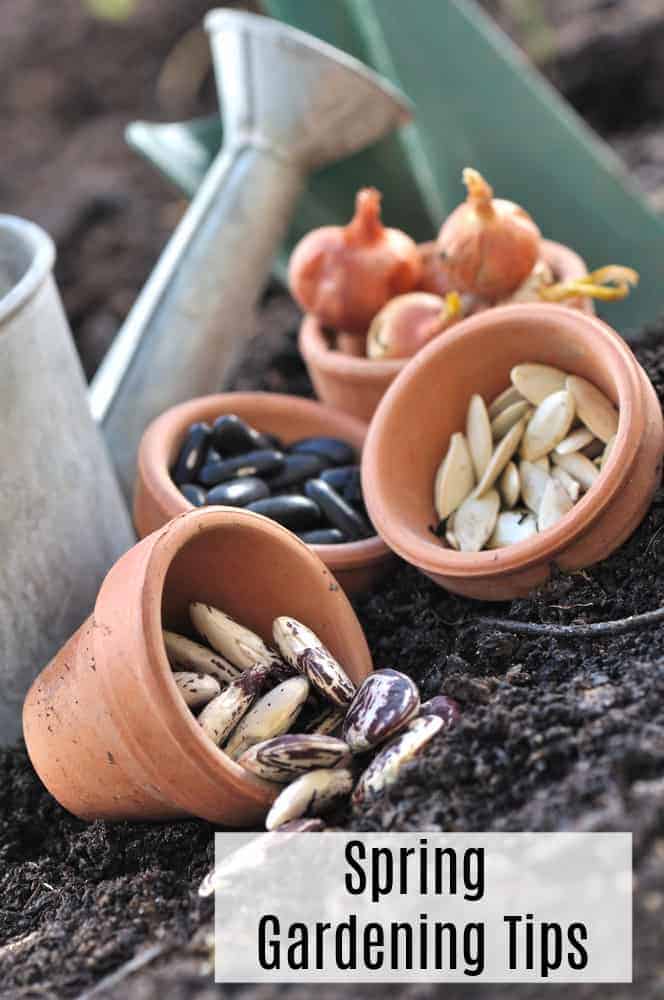 Preparing Your Garden for Spring Planting