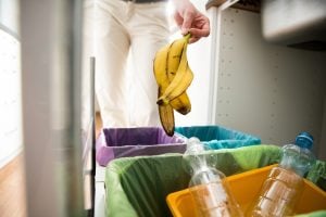 Indoor Composting