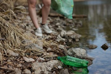 plastic in the environment