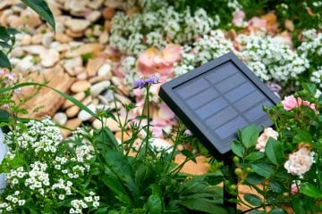 solar panels in the garden