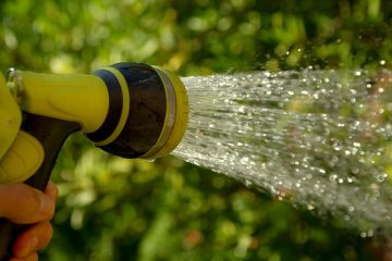 hose watering garden and back yard