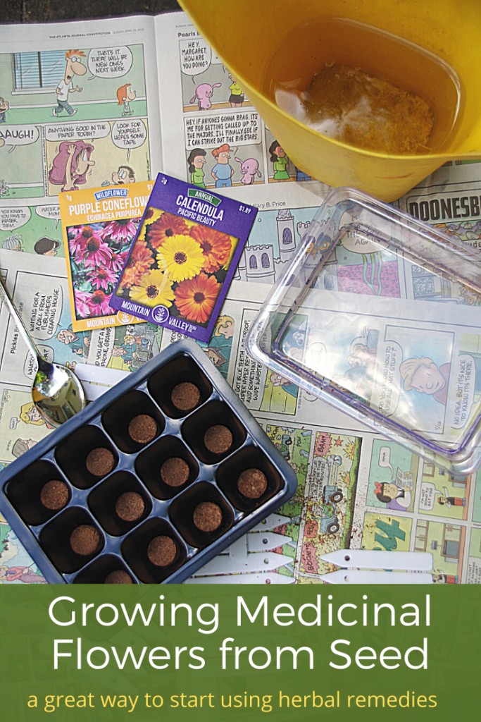 medicinal flower seeds with seed starting tray and watering can and text overlay 'Growing Medicinal Flowers from Seed is a great way to start using herbal remedies'
