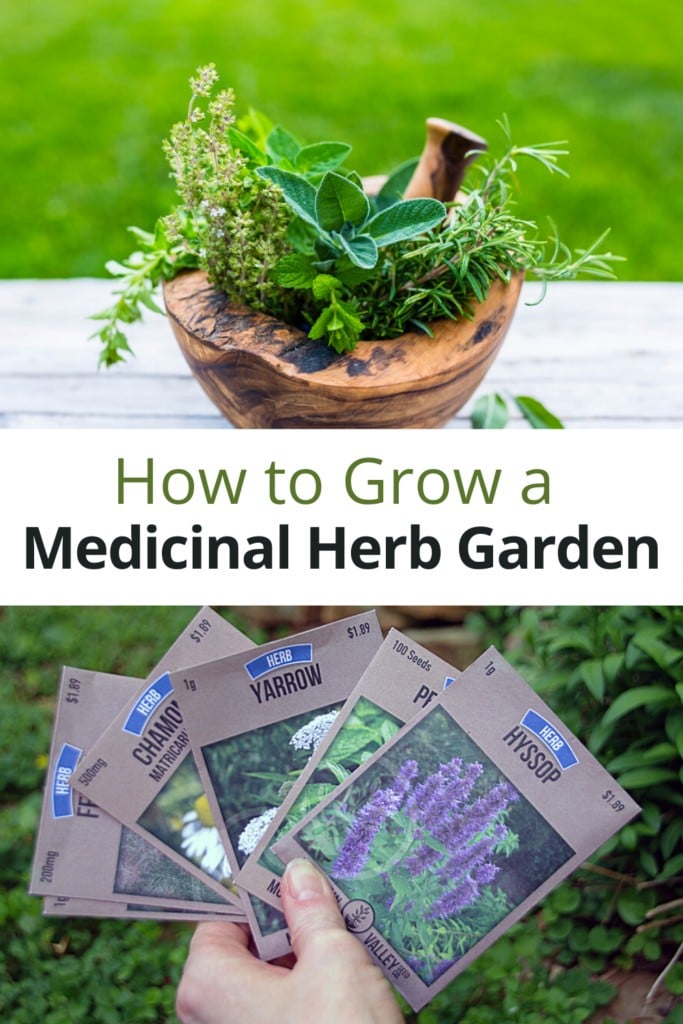 Medicinal herbs in wooden bowl and collection of seed packages with text overlay 'How to Grow a Medicinal Herb Garden'