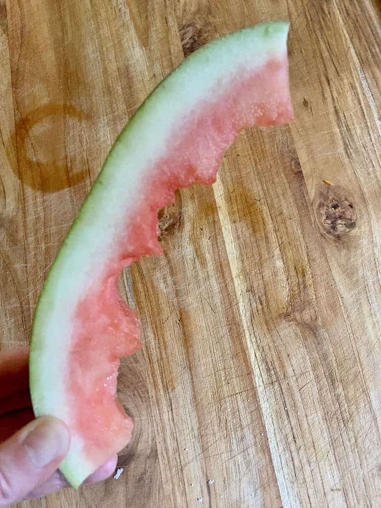 watermelon rind to indicate food waste at home