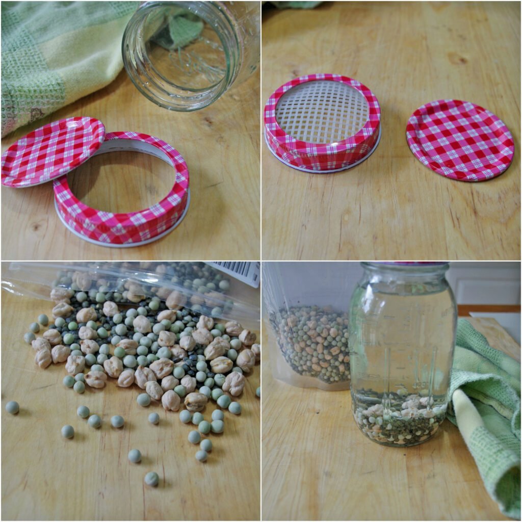 collage of images of dried beans in glass mason jar with water for sprouting