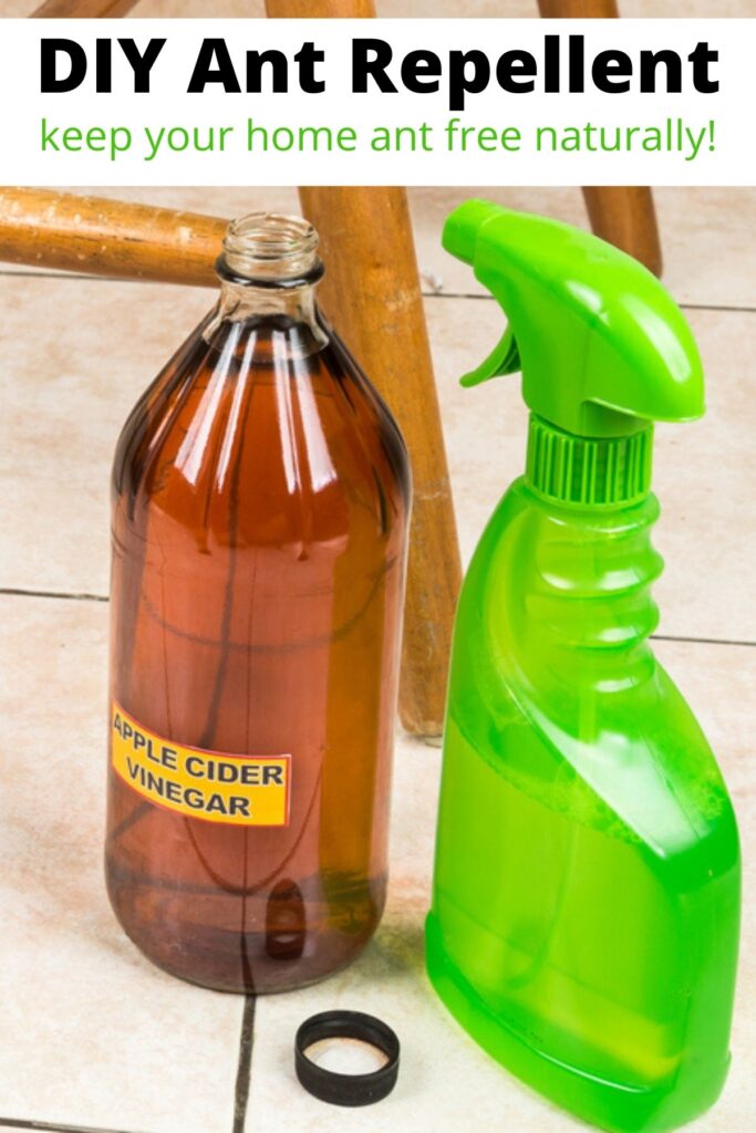 apple cider vinegar and spray bottle under chair to make natural ant repellent