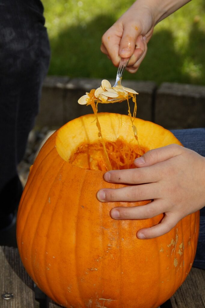 person scooping seeds out of a whole pumpkin