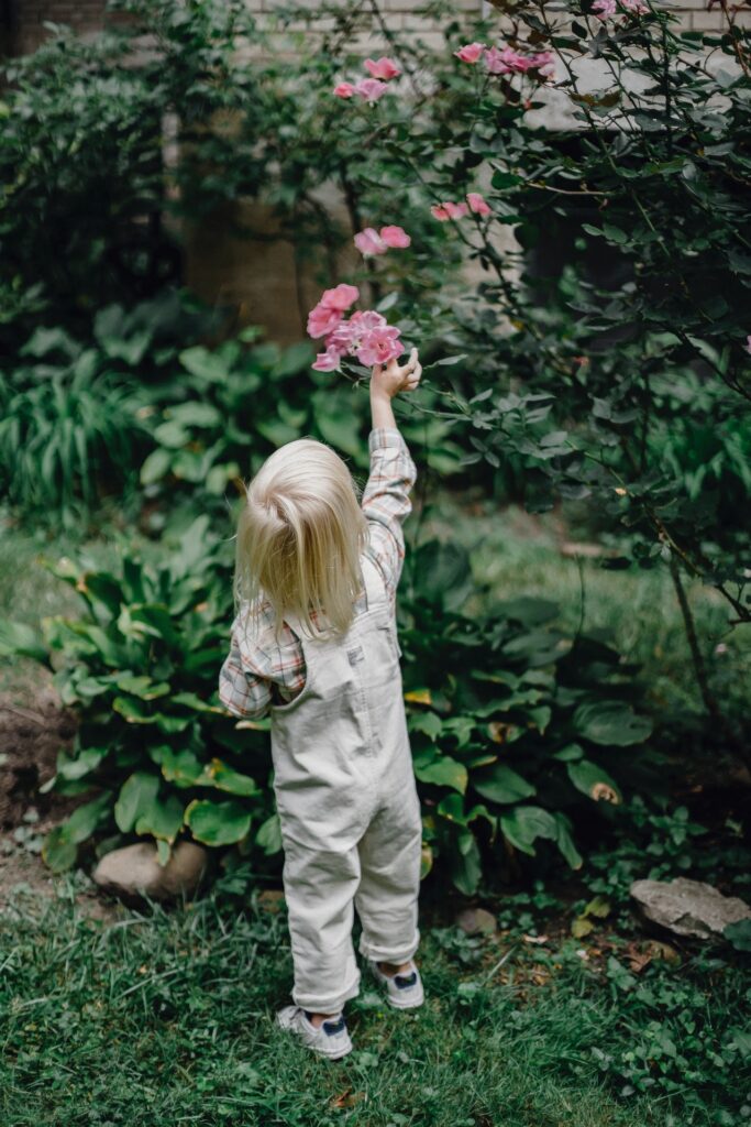 child in backyard reaching for a flower