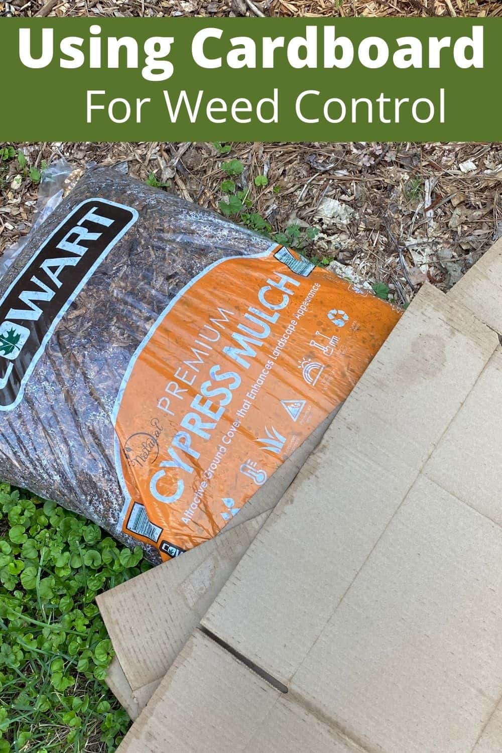 Using Cardboard for Weed Control Turning the Clock Back