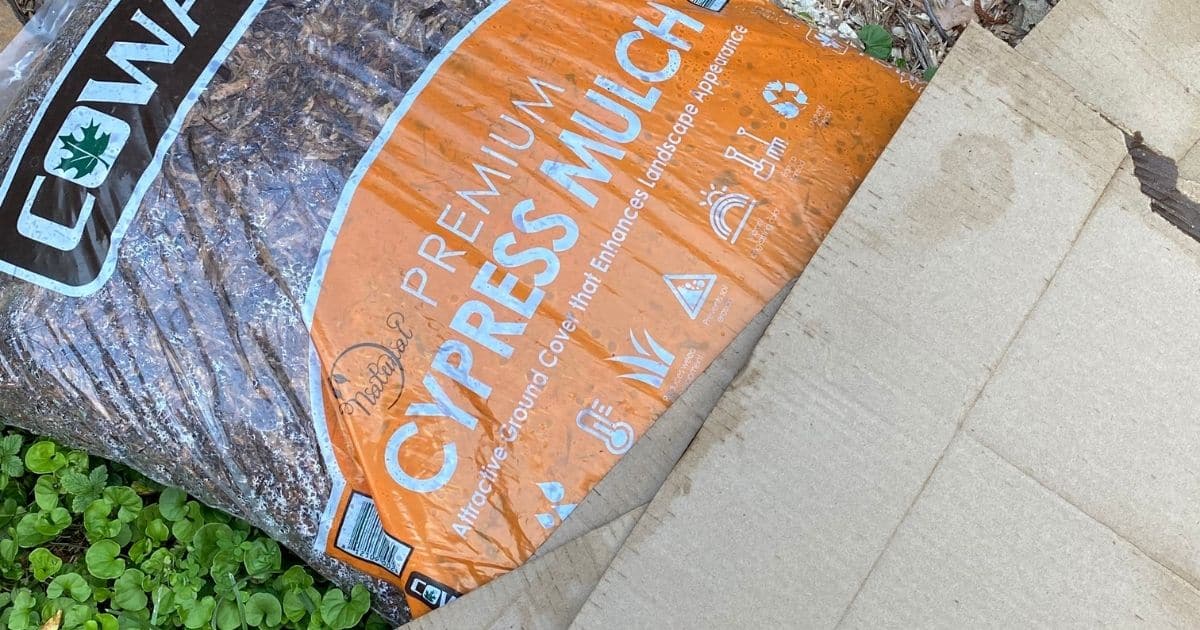 Using Cardboard for Weed Control Turning the Clock Back