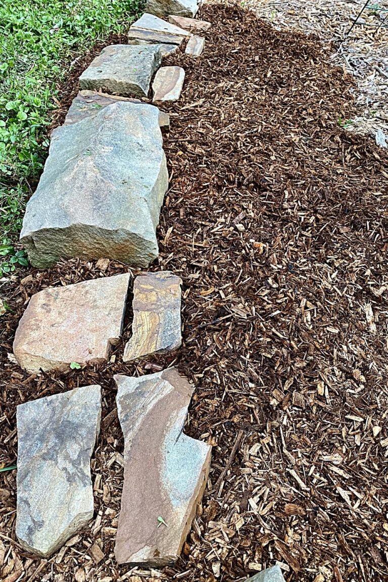 Using Cardboard for Weed Control Turning the Clock Back