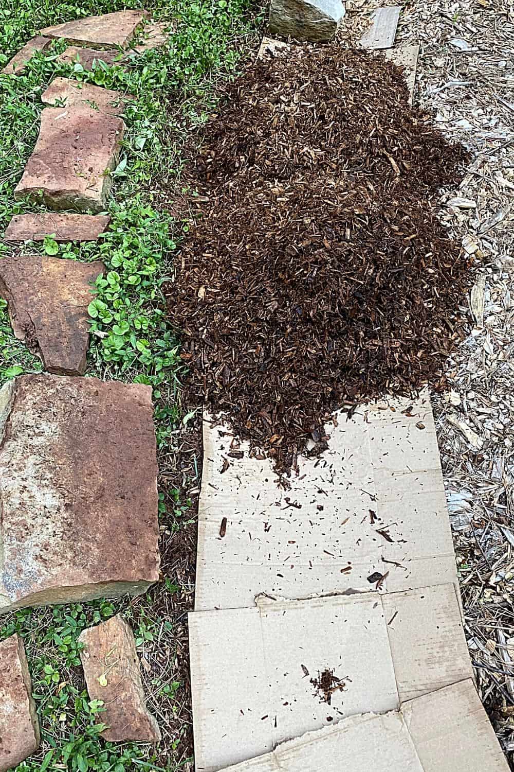 Using Cardboard for Weed Control Turning the Clock Back