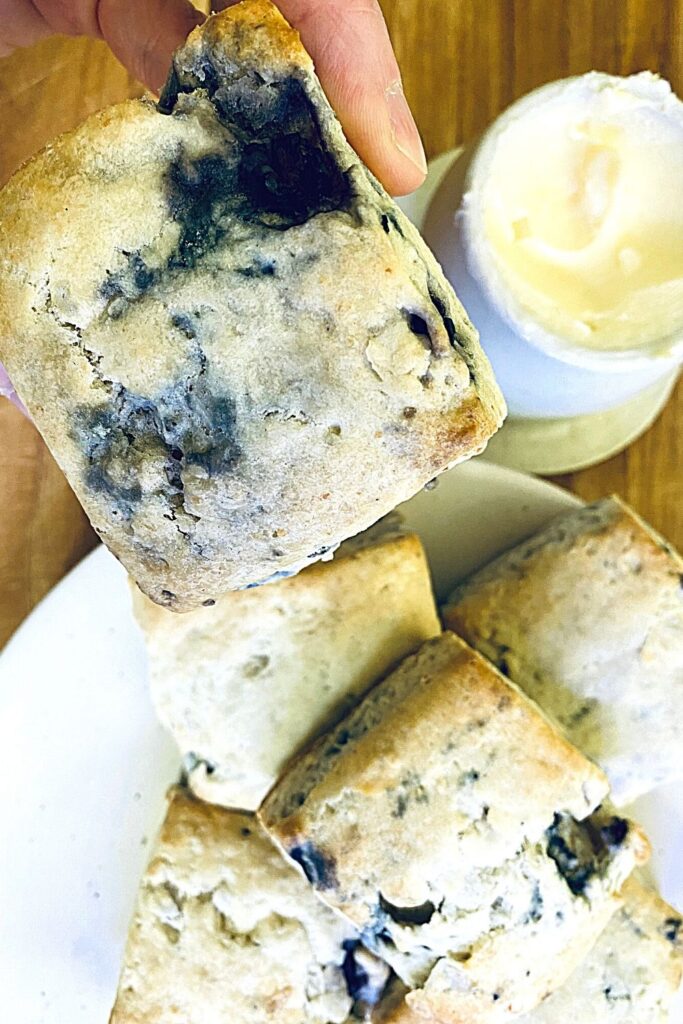 wildgrain blueberry biscuits closeup