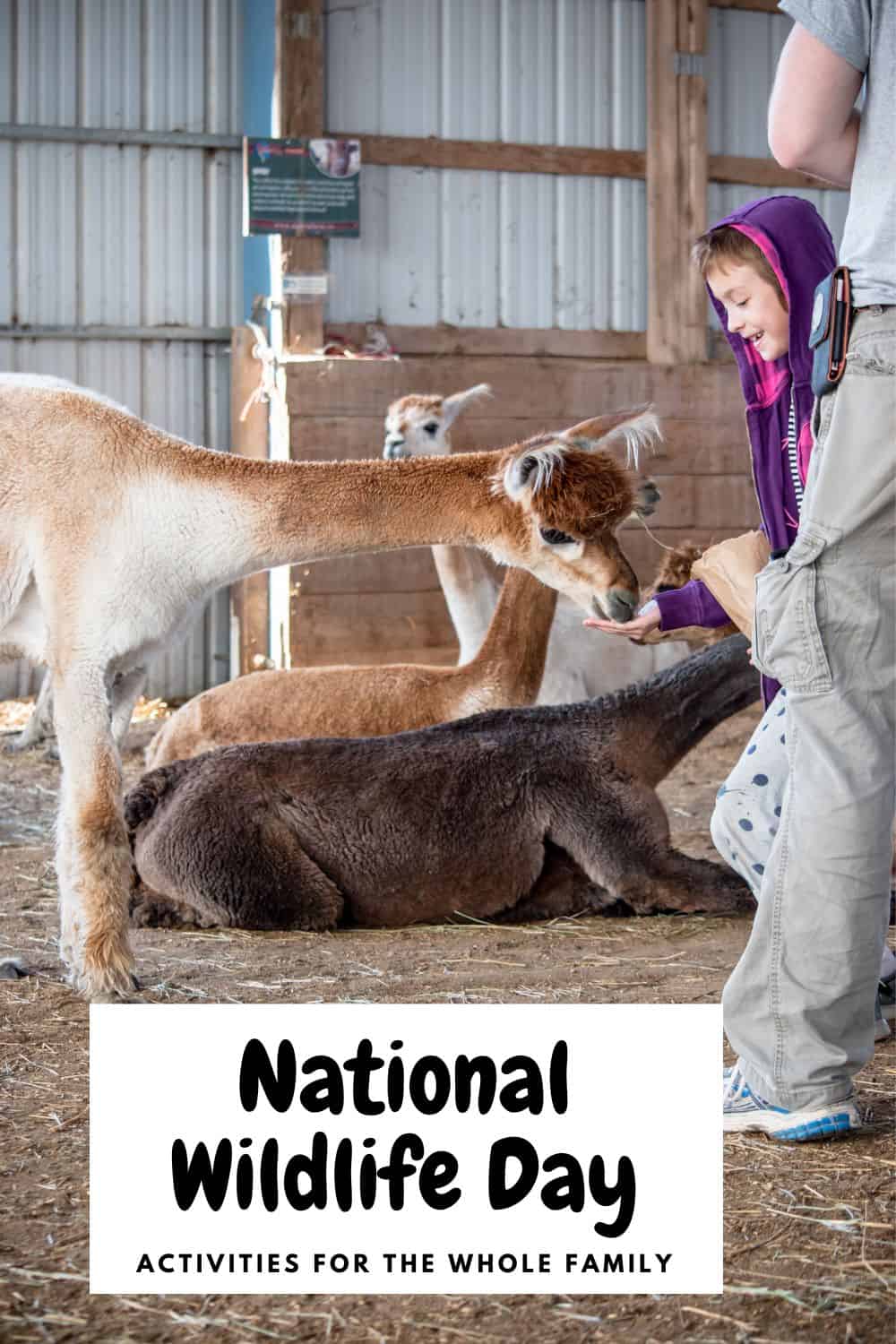 How to Celebrate National Wildlife Day Turning the Clock Back