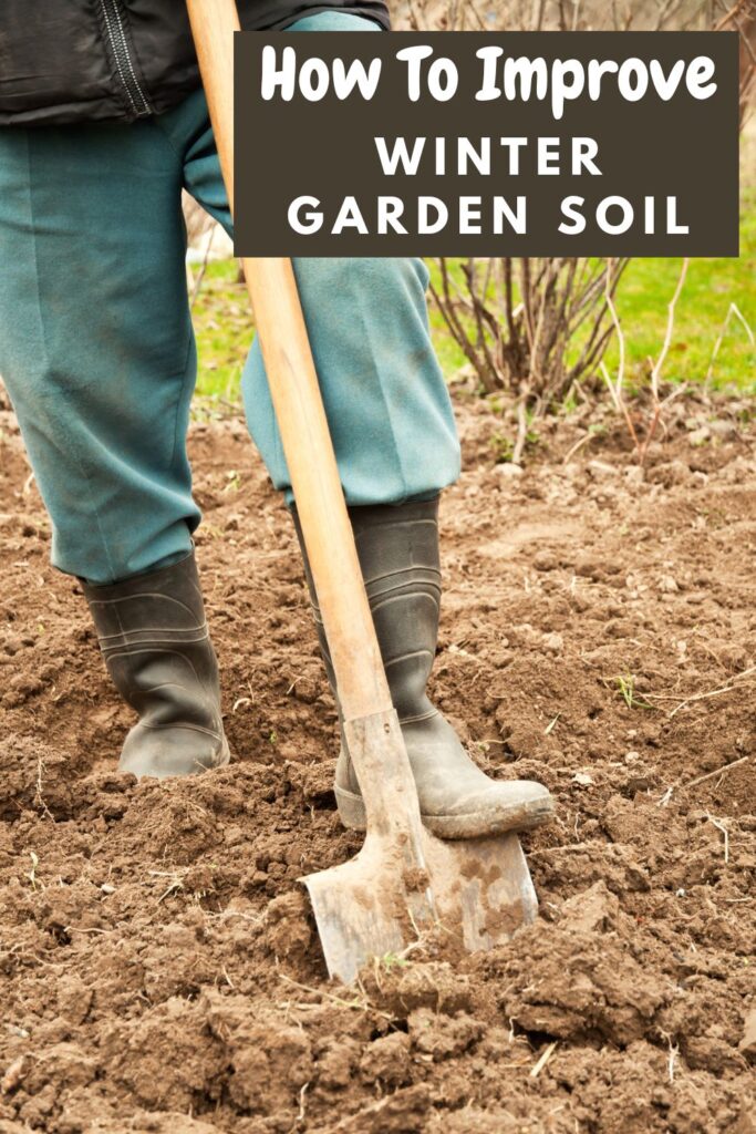 person shoveling garden soil in cold weather with text overlay 'How To Improve winter garden soil'