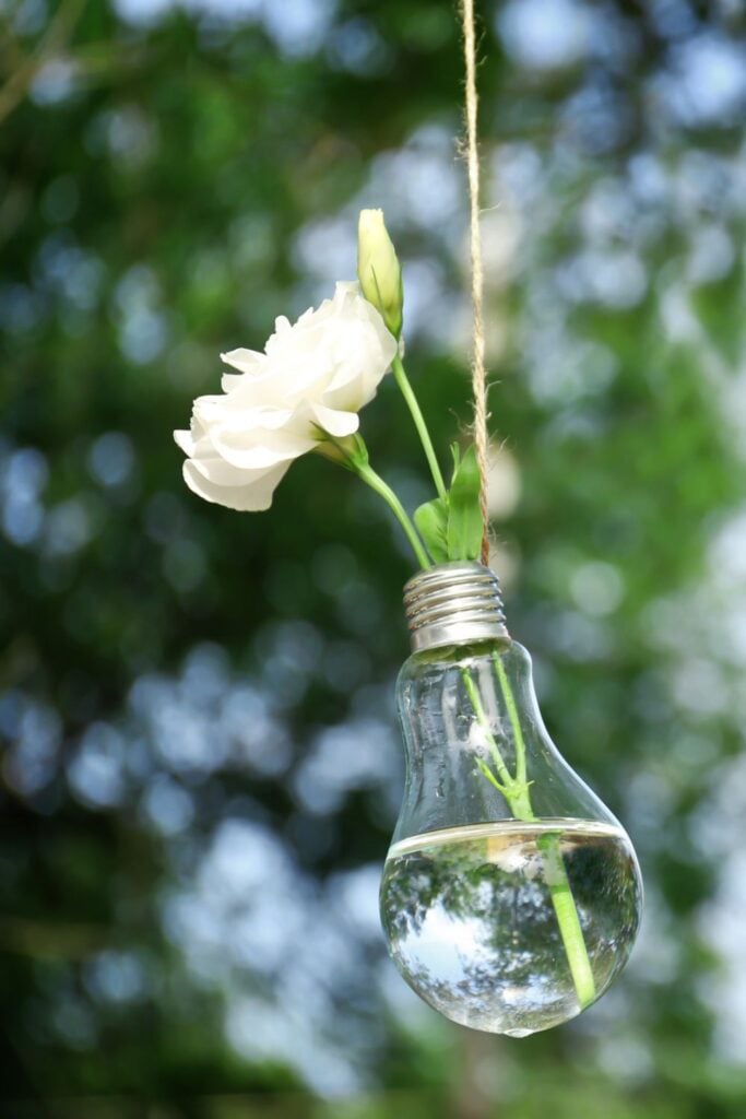 flower growing in used light bulb representing The 6 rs of Sustainability