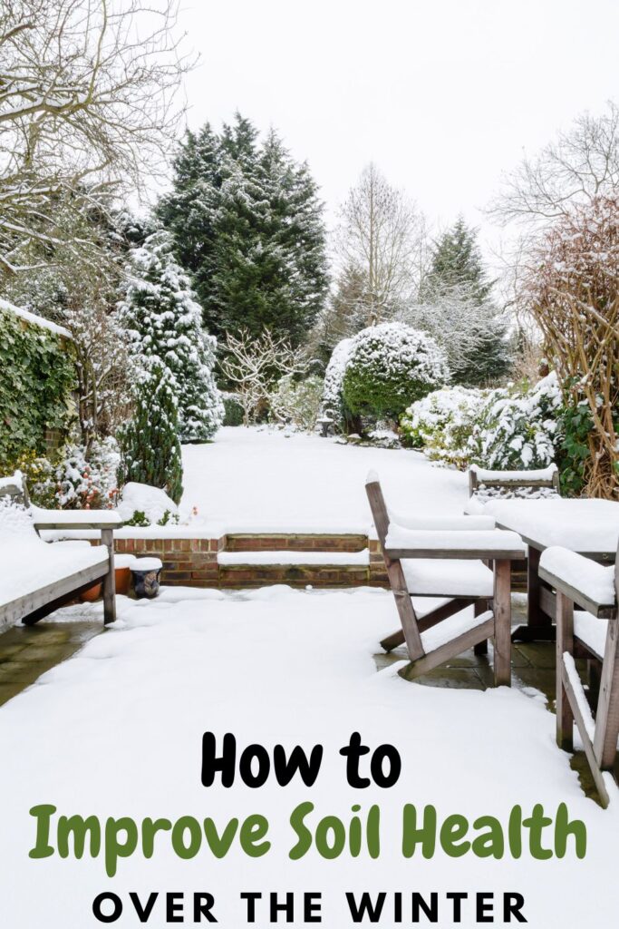 garden area covered in snow with text overlay 'how to improve soil health over the winter'