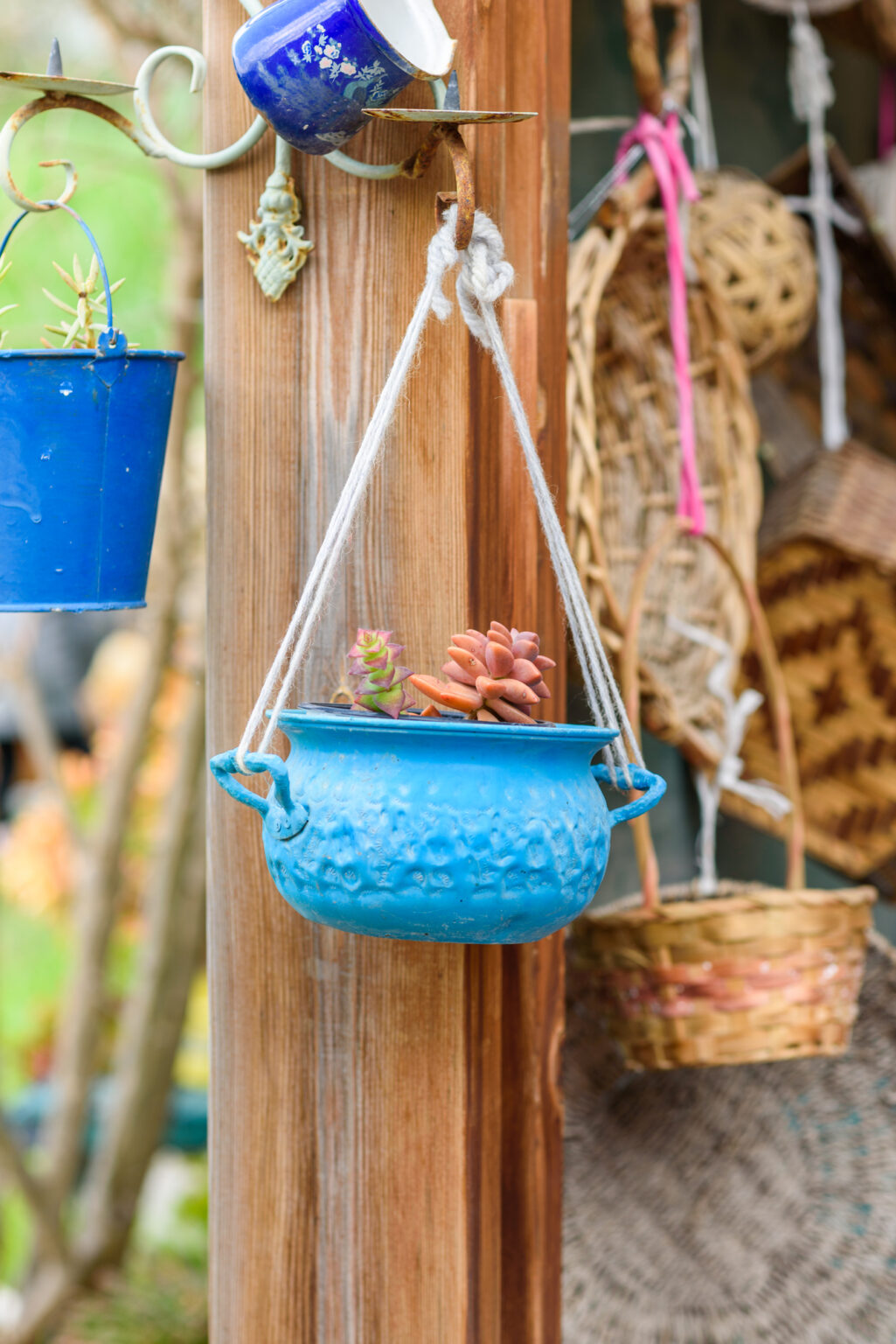 View of Zero Waste Gardening: Complete Guide to Sustainable Garden Practices ...