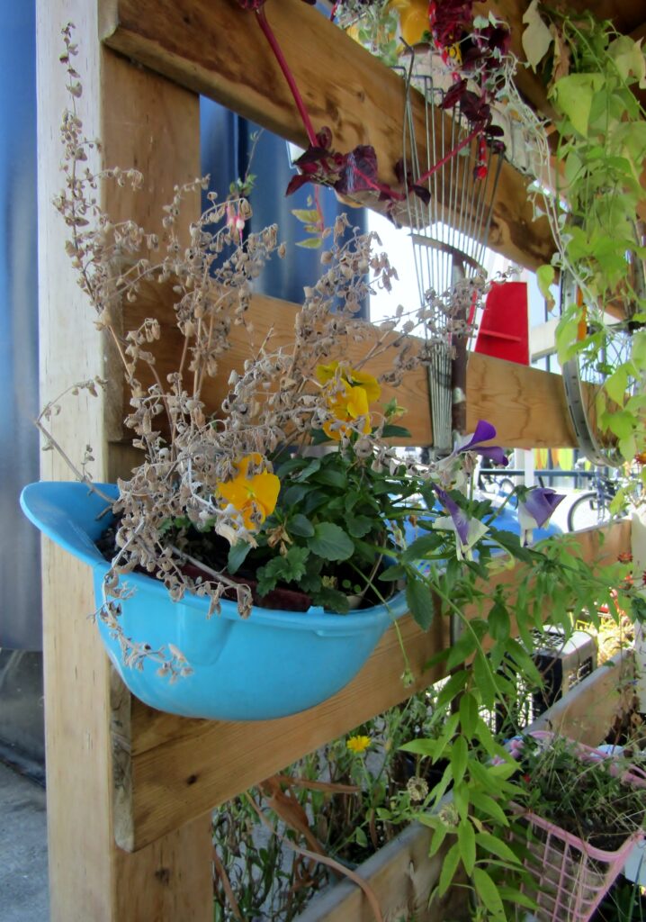 upcycled hat planter hanging on an outdoor wall