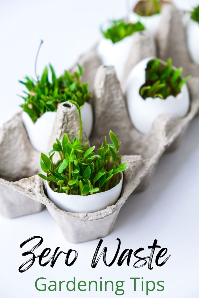 plants growing in egg shells with text overlay zero waste gardening tips