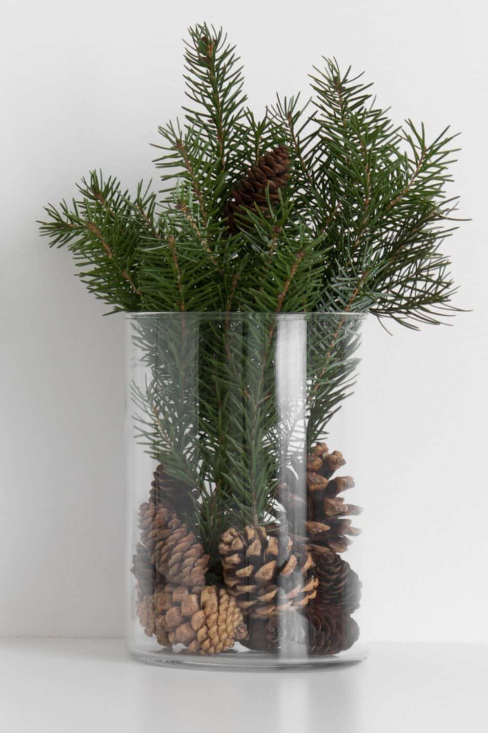 Preserving Pine Branches for Crafts and Decor