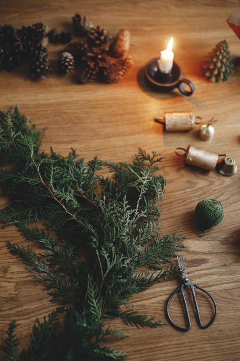 Preserving Pine Branches for Crafts and Decor