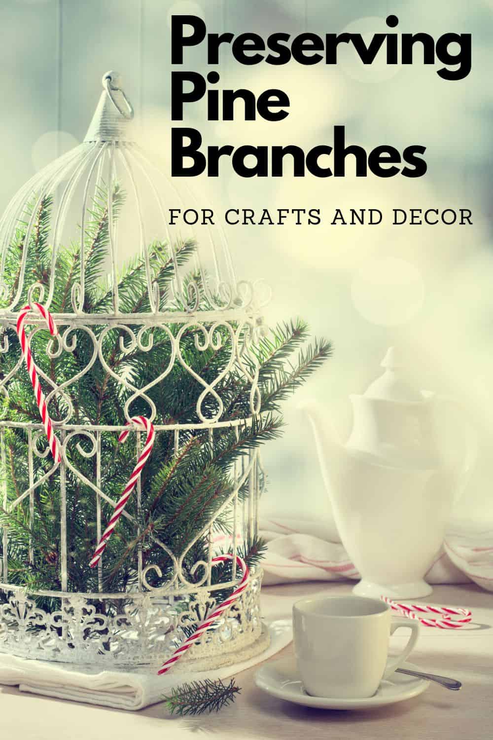 Preserving Pine Branches for Crafts and Decor